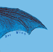 Bat Wing Cover